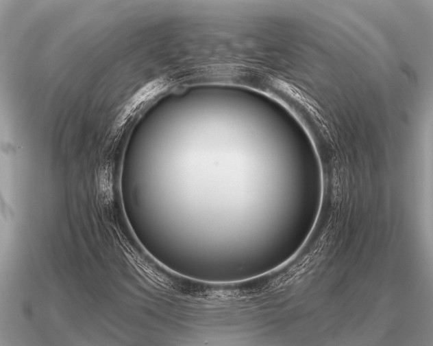 X0000091091451200708061627