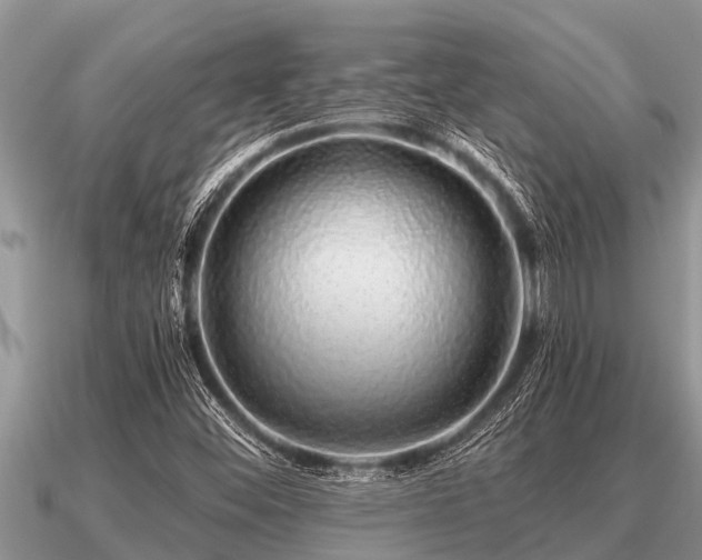 X0000091091452200708061627