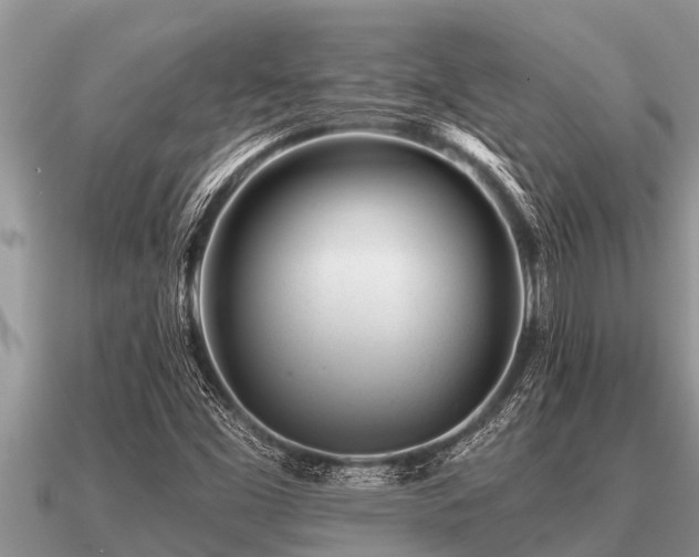 X0000091091453200708061627