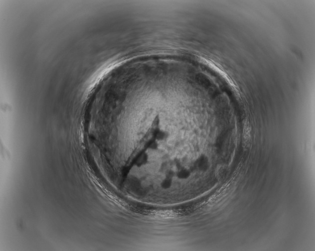 X0000091091455200708061627