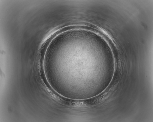 X0000091091456200708061627