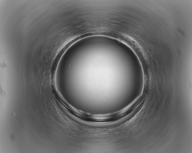X0000091091457200708061627