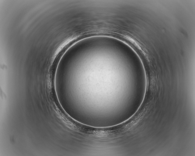 X0000091091458200708061627