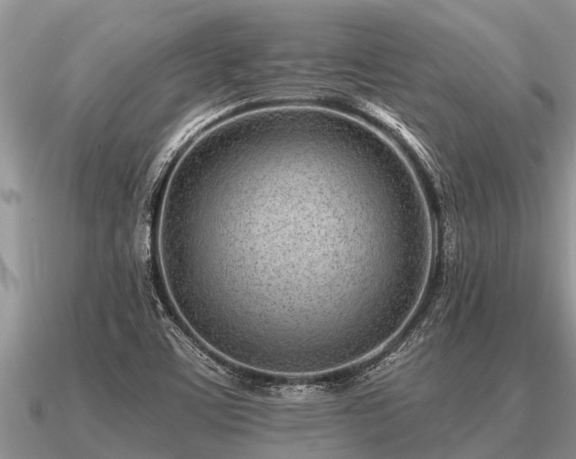 X0000091091459200708061627