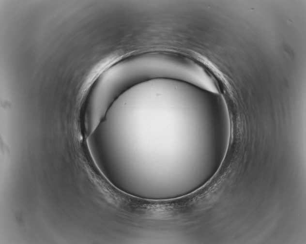 X0000091091461200708061627