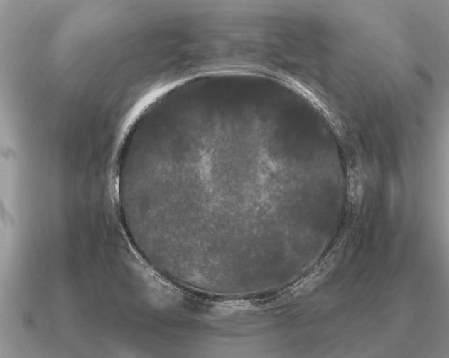 X0000091091462200708061627