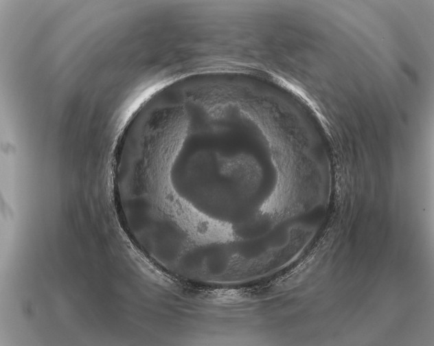 X0000091091463200708061627
