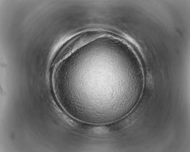 X0000091091464200708061627