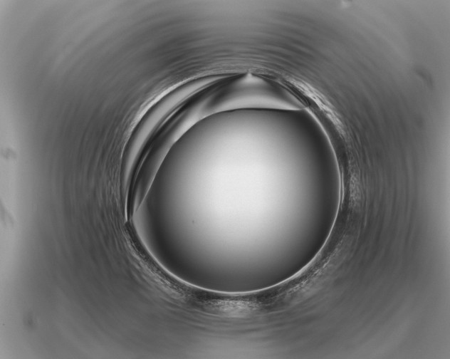 X0000091091465200708061627