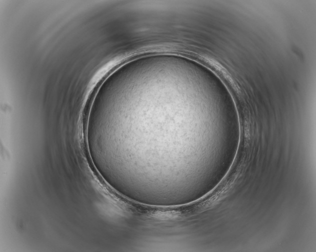 X0000091091466200708061627