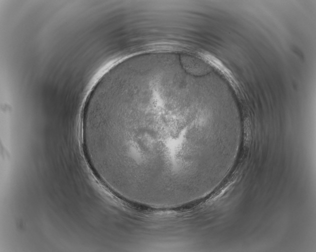 X0000091091467200708061627