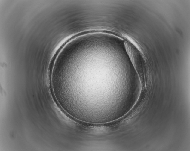 X0000091091468200708061627