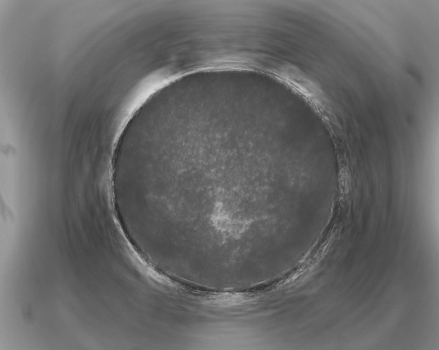X0000091091470200708061627