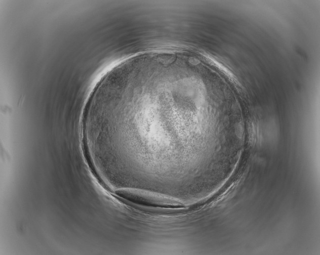 X0000091091471200708061627