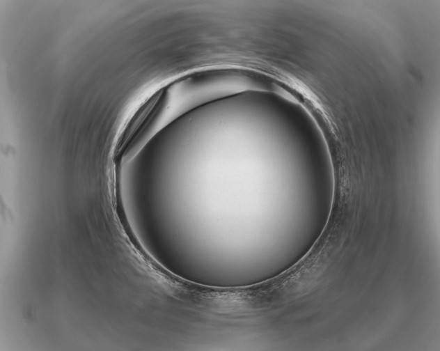 X0000091091472200708061627