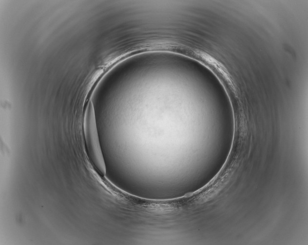 X0000091091473200708061627