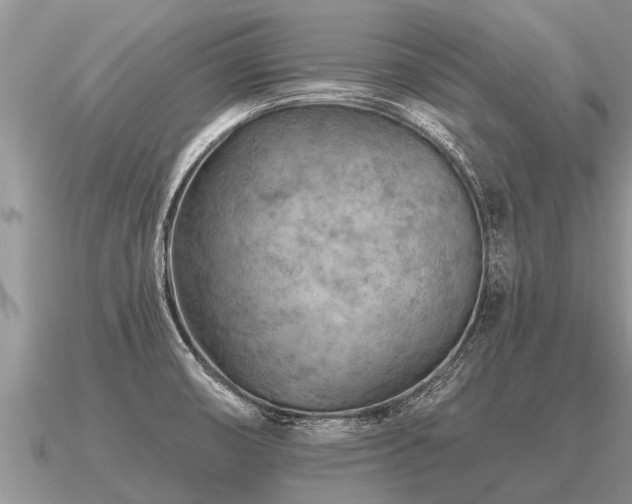 X0000091091474200708061627