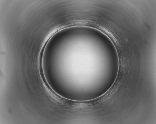 X0000091091475200708061627