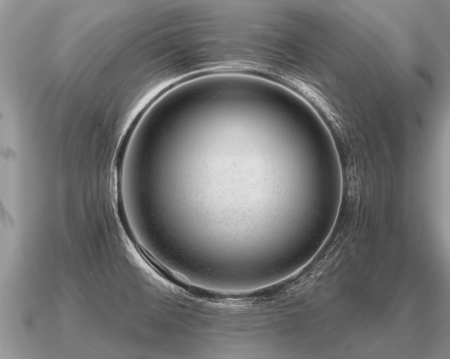 X0000091091476200708061627