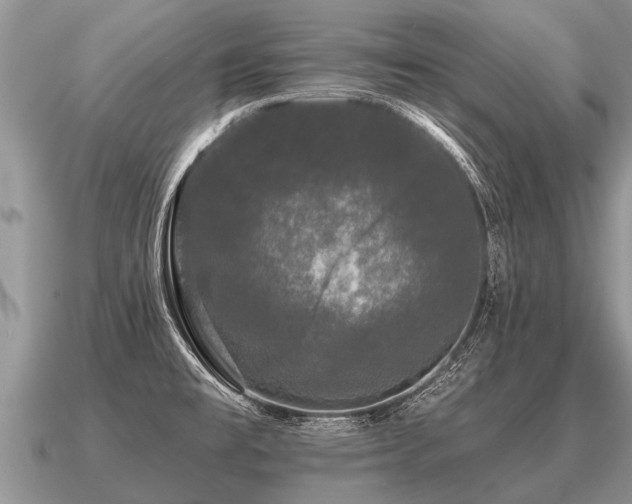 X0000091091477200708061627