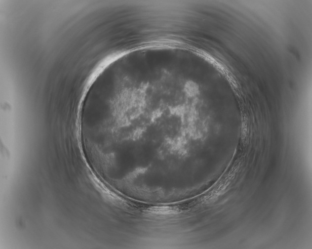 X0000091091478200708061627