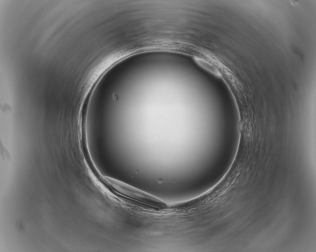X0000091091479200708061627