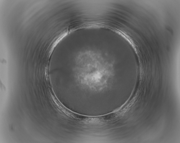 X0000091091481200708061626