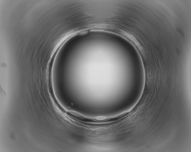 X0000091091483200708061626