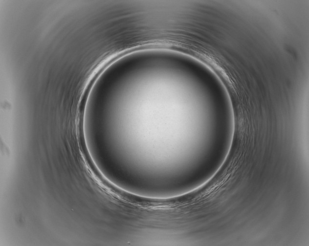 X0000091091484200708061626