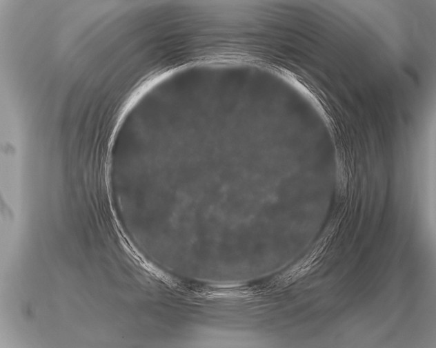 X0000091091486200708061626
