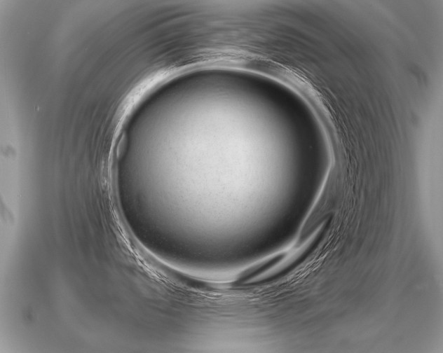 X0000091091488200708061626