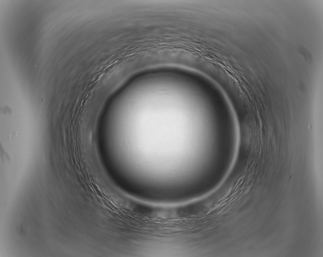 X0000091091489200708061626