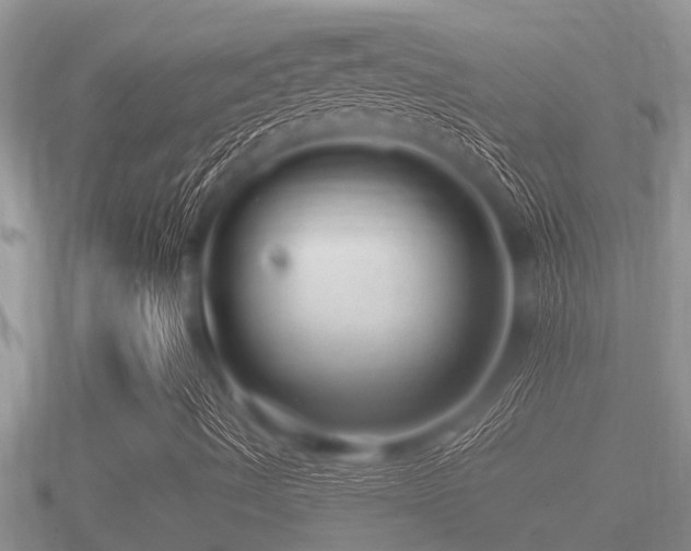 X0000091091490200708061626