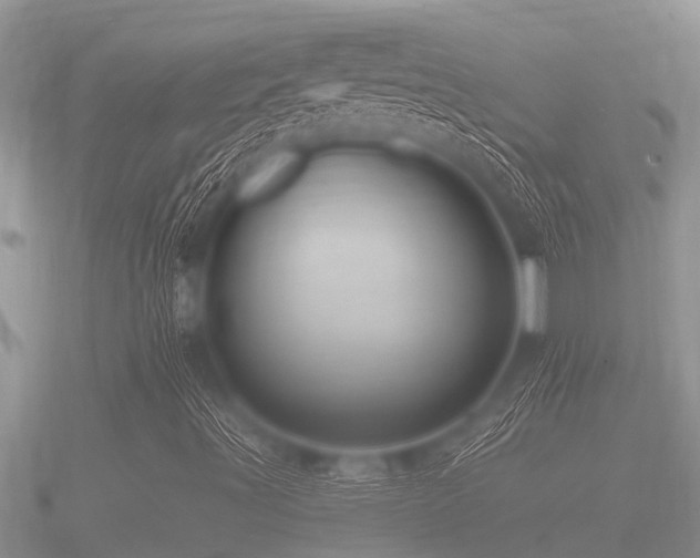 X0000091091491200708061626