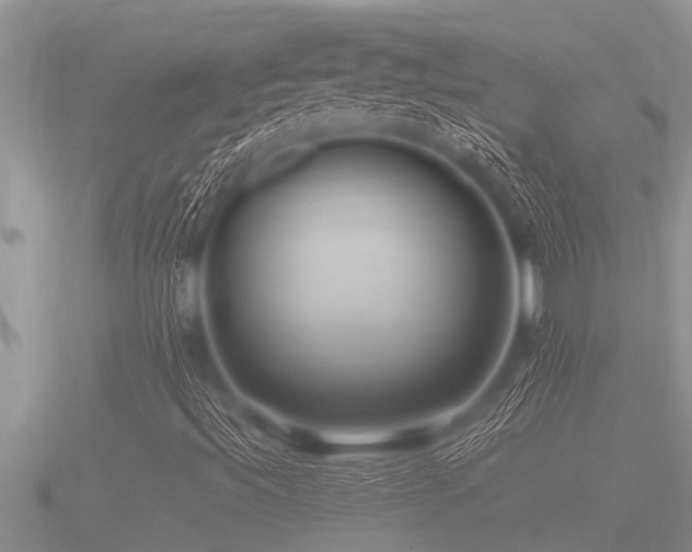 X0000091091492200708061626
