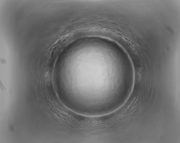 X0000091091493200708061626