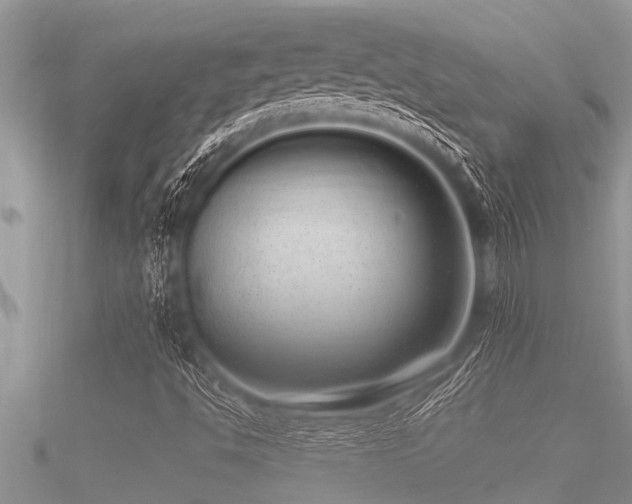 X0000091091494200708061626