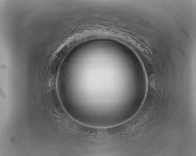 X0000091091495200708061626