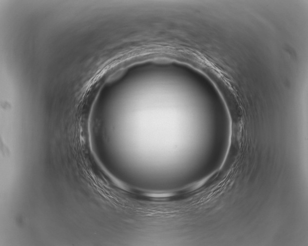 X0000091091496200708061626