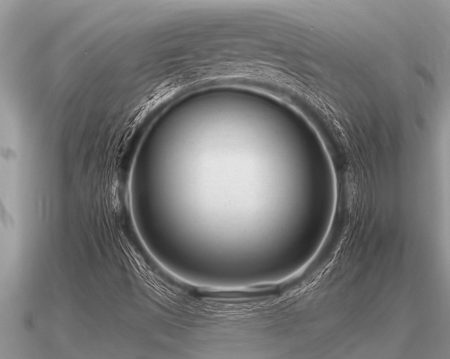 X0000091091497200708061626