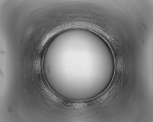 X0000091091498200708061626