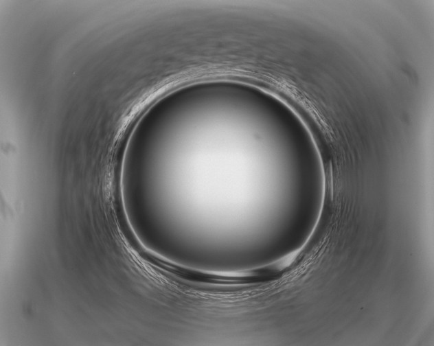 X0000091091500200708061626