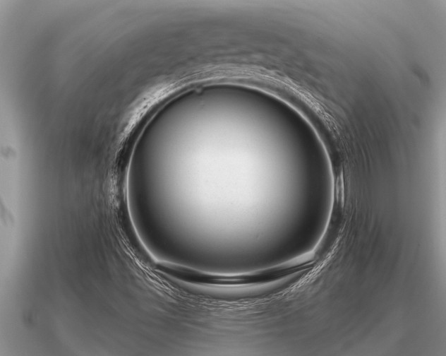 X0000091091501200708061626