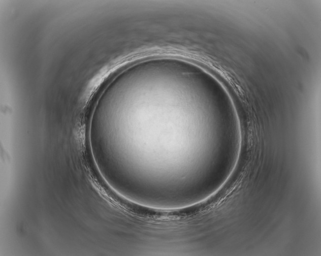 X0000091091503200708061626