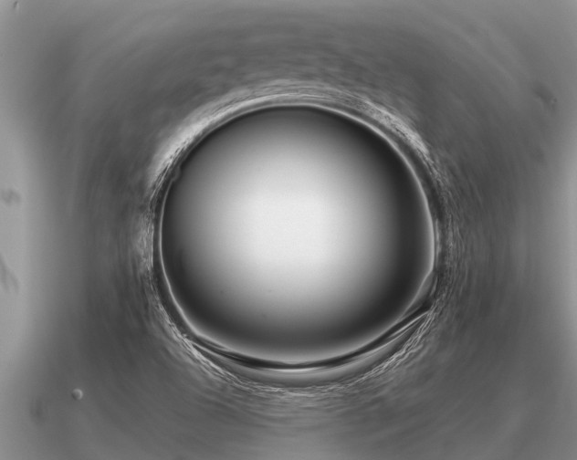 X0000091091504200708061626