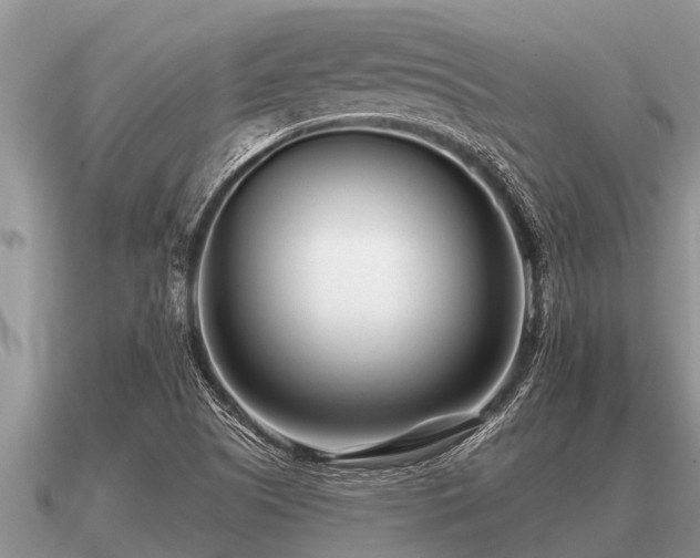 X0000091091505200708061626
