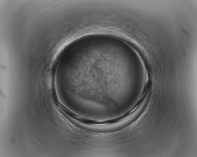 X0000091091506200708061626