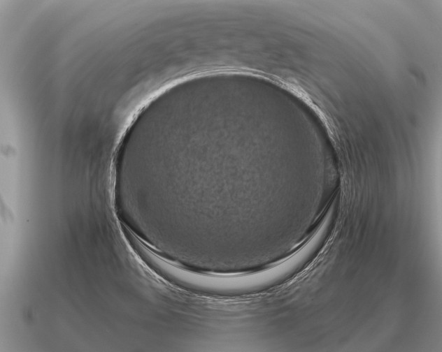 X0000091091508200708061626