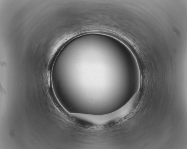 X0000091091509200708061626