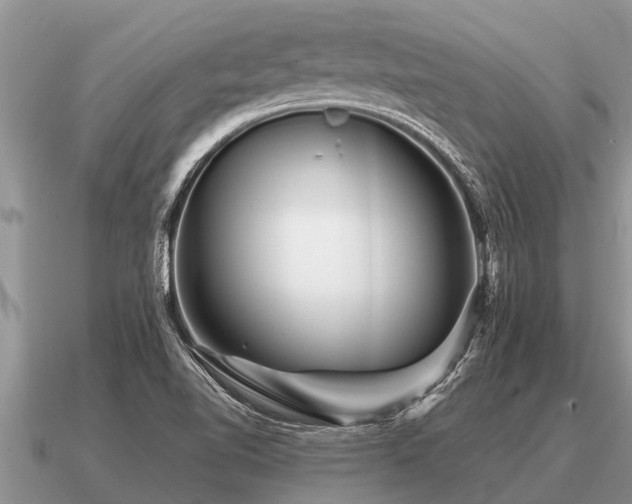 X0000091091510200708061626